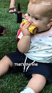 174K views · 3.1K reactions | These babies won't rest until they've tasted EVERYTHING! 﫢 | All The Babies | Facebook