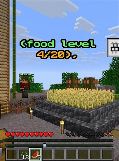 Hunger at 4 out of 20