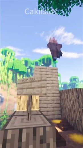 Minecraft POOP POOL AND VERİTY!! #grox #minecraft #minecraftshorts #minecraft100days #verity