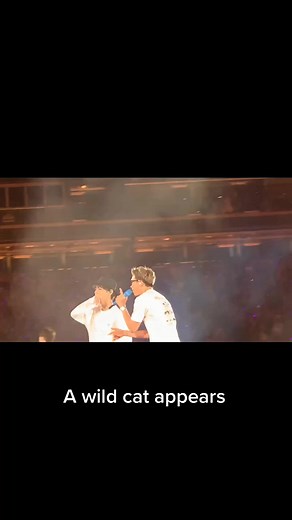 #meowmeow #bts #btssuga #btsarmy #btsxmetlife #btsmetlifeday2 #suga #loveyourself #btsconcert #running @bts_official_bighit