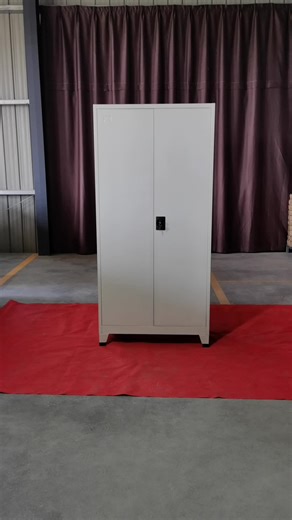 Customized 2 Doors Office Metal Storage Cabinet Steel Cupboard Metal Cabinet Filing Cabinet With 4 Shelves