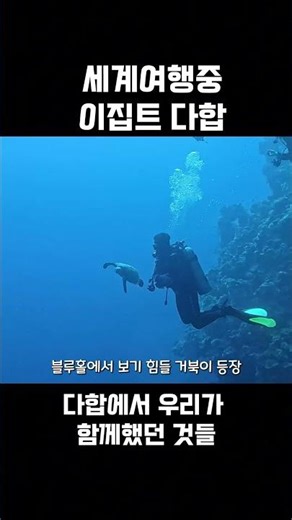 이집트다합 블루홀에서 스쿠버다이빙하기 #40대세계여행 #여행 #세계여행#이집트다합