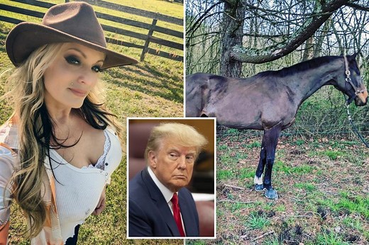 Stormy Daniels says she \"absolutely\" will testify against Donald Trump