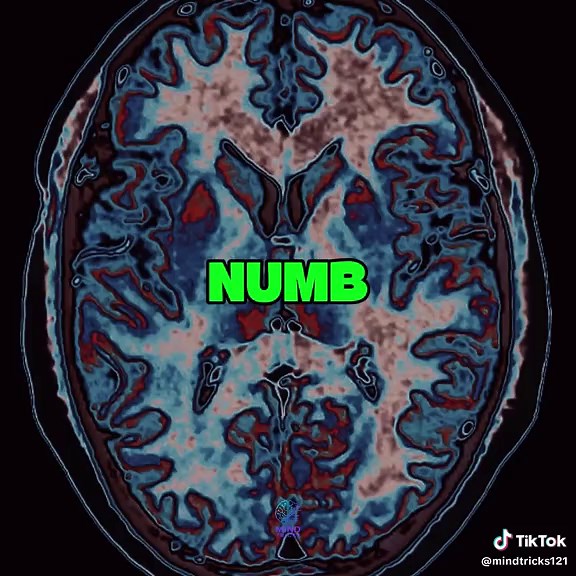 Understanding Food Choices and Their Impact on Dopamine