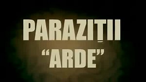 Parazitii Arde feat Mr Levy Videoclip Oficial