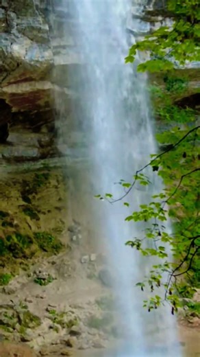 🇨🇵🇬🇧🇩🇪 LE HÉRISSON : C'est Du Bon !