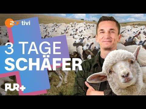 Unterwegs mit 1.500 Schafen – so hart ist der Alltag als Schäferin | PUR+