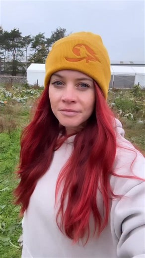 EXPLODING WITH GRATITUDE! 🧡💚❤️💛 What a bloody weekend that was guys. Exhausted but beaming from ear to ear and feeling soooo incredibly grateful to each and every person for coming to visit us and support us this weekend. Honestly i’m blown away, it has to be the busiest weekend we’ve ever had, and I’m so humbled that you choose to make your memories with us. What a privilege 🫶🏼 Remember we are closed next Saturday for a family wedding. The gates will be open again on Sunday the 19th. Thank