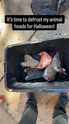 It’s that time of year again! Danzig is emerging from his slumber, families are defrosting their animal heads and finishing their costumes! And tomorrow we go trick or treating and vandalize the town! AHAHAHAHAHAHAHAHAHA | Bozzelli and Sons Heating and Air