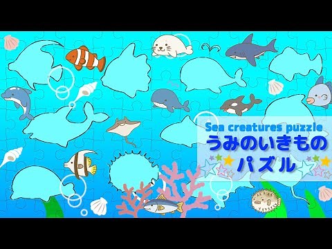 海の生き物・お魚さん いっぱい★うみのいきものパズルをやってみよう！水族館 で人気の イルカ サメ アザラシ・・全部分かるかな？｜子供向け 知育動画 赤ちゃん 幼児が喜ぶ｜sea creatures