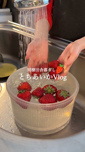【旬を楽しむ果物🍓】いちごレシピ2選 【 🍹🍓いちごシロップ 】 ￤とちあいか…100g ￤氷砂糖…苺と同量 ￤レモン…1切れ 【 🍸🍋レモンシロップ 】 ￤レモン…2個分 ￤氷砂糖…レモンと同量 ￤ローズマリー 1⃣交互に重ねて、氷砂糖が 溶け切るまで常温保存。 2️⃣1日1回全体に溶けてきた 液が行き渡るようにまわす。 ┈┈┈┈┈┈┈┈┈┈ 【 🧈🍓苺バター 】 ￤★とちあいか…1~2個 ￤★砂糖…大さじ1程 ￤★レモン汁…適量 ￤バター50g 1⃣★を合わせてレンチン1分。果肉を潰す。 2️⃣常温に戻した🧈に1⃣を 少しづつ加えて混ぜる。 #同棲ごはん #旬のフルーツ #いちごシロップ #苺バター