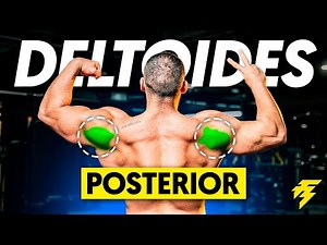 The 5 BEST EXERCISES for REAR DELTOIDS (ranking)