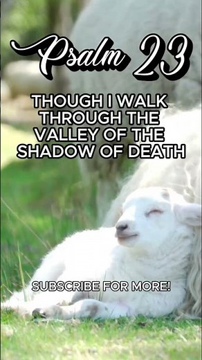 Finding Peace & Comfort: A Gentle Visual Journey Through Psalm 23 (Sheep & Nature)