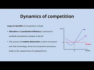 Competition and contestable markets