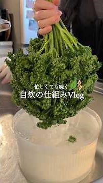[Parsley Recipe] Easy home-cooked meals using leftovers 🌿