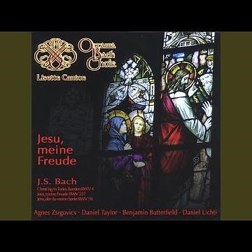 Jesu, der du meine Seele, BWV 78: 7. Choral: Herr, ich glaube,