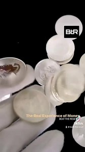 The Experience of Real Money . Physical money and the experience that is associated with it, goes far beyond just a simple medium of exchange. It incorporates all five senses; sight, sound, smell, touch, and taste. . Once we move to a digital currency, our experience of money will incorporate just one of the senses; sight. As we shift to a digital CBDC, what are we really losing? . #money #currency #sensoryexperience #5senses #sensory #realmoney #cbdc | Beat the Reset