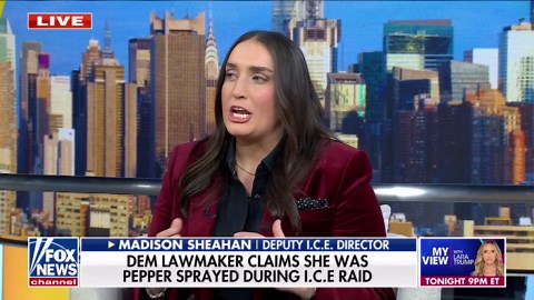DHS disputes Democrat's claim she was pepper sprayed by ICE
