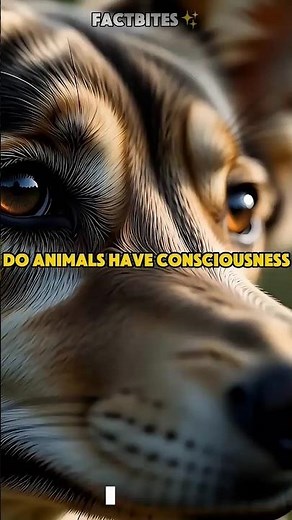 Do Animals Have Consciousness? #AnimalCognition #ScienceFacts #AnimalFacts