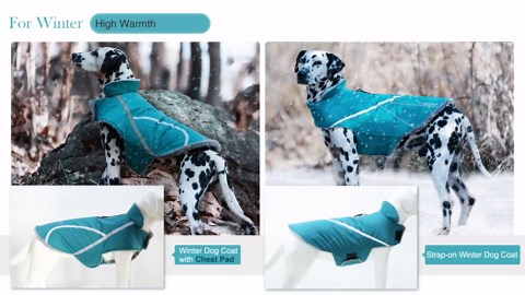 BISSELL® Spinwave Cordless Pet Hard Floor Spin Mop Cleaner 18V with washable mop pads for sealed hard floors, 23157