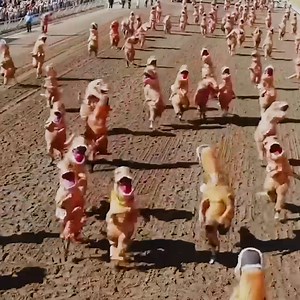 Just when it seemed to be going so smoothly... 😂 🦖 | UNILAD