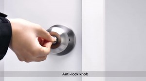 Fingerprint Door Lock, Smart Fingerprint Door Knob, Biometric Door Lock with App Control for Bedroom, Apartment, Front Door, Home(Black)