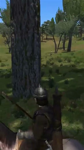 when enemy run from field i donot run this bravo