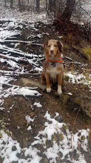 Debbie Jackson on Reels