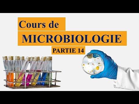 Cours de microbiologie partie 14 : métabolisme et nutrition bactériens, les besoins élémentaires