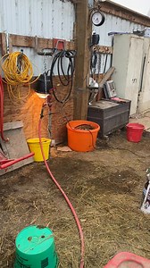 Wish we have an automatic waterer but we don’t so this is our solution to keeping water to our goats in this barn during subzero temps. All heat lamps, hoses, and tanks are secured and, hopefully, goat proofed! | Dakota Wind Meat Goats