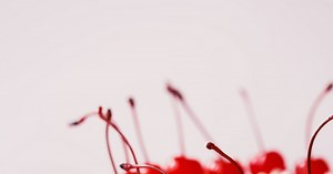 Gâteau d'anniversaire aux fruits rouges et mascarpone