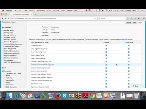 Salesforce for Beginner's Creating a custom picklist