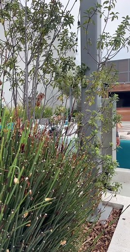 Tom of Finland on TikTok