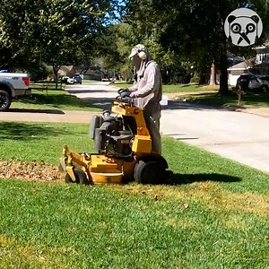 Satisfying process of grass cutting & leaf blowing Partner: Cyber Landscaping YT: https://www.youtube.com/channel/UCMXZmvQ1ttdvORS5Ls8c0vA | Bored Panda Art