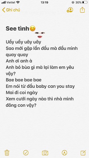 Melodic Vietnamese Love Song with Heartfelt Lyrics