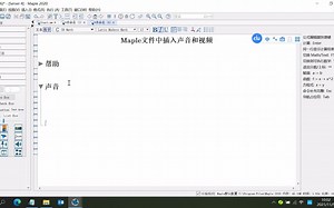 Maple互动文件中插入声音和视频