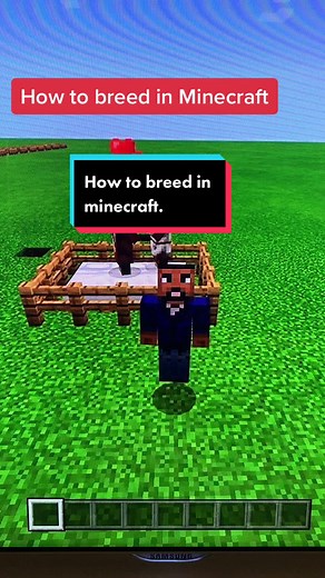 How to Breed Villagers in Minecraft