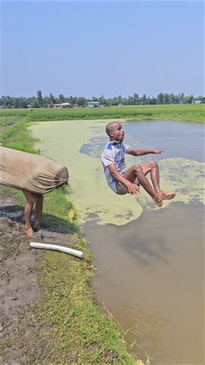 The boy dressed up two cows and threw them away.908