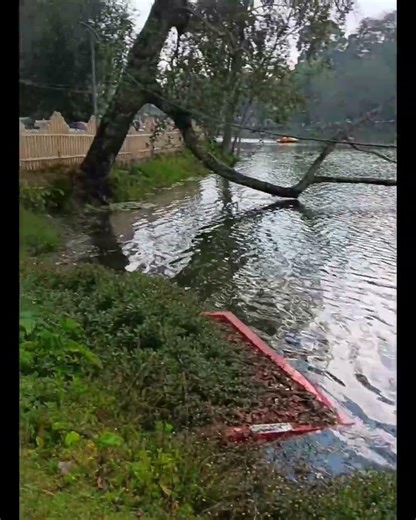 #Kodaikanal lake view Kodaikanal Lake 🌿✨ beautiful nature palce in Tamil Nadu tourist ✨