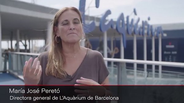 L’Aquàrium de Barcelona celebra con el público su 30 aniversario | El Comercio: Diario de Asturias