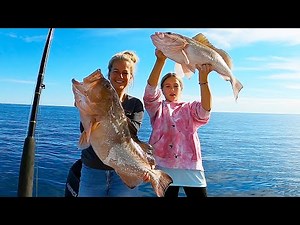 HOW To LIMIT OUT On GIANT RED GROUPER on the West Coast of Florida
