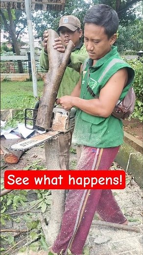 Woodworking project how to use a chainsaw to cut wood #shortvideo #treecutting #chainsaw