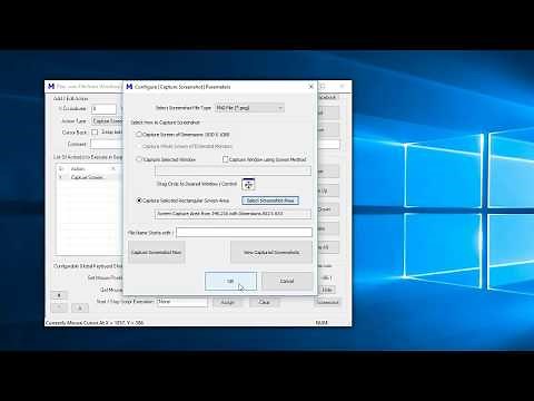 Capture Screenshot from Macro Script