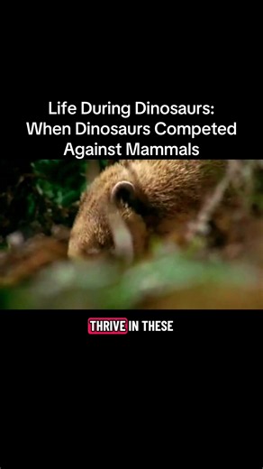 Life During Dinosaurs: When Dinosaurs Competed Against Mammals