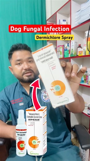 dog fungal infection home treatment | dog fungal skin infection treatment medicine | Dermichlore