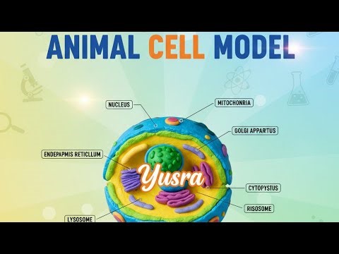 Animal Cell Model Presentation | Yusra | NASIR Academy