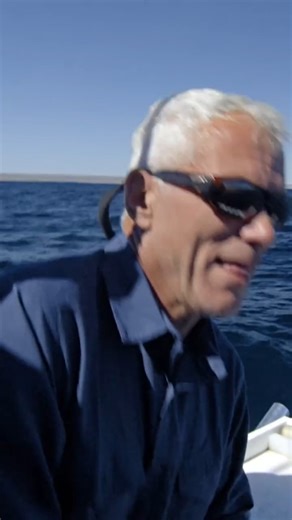 Jeremy Wade is chasing one of the fastest fish in the ocean 🌊 #rivermonsters #jeremywade #fishing | River Monsters Global
