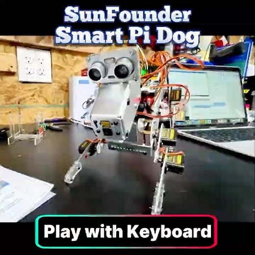 Raspberry Pi Robot Dog Keyboard Control Demo #arduino #robotics #techtok #raspberrypi #electronics