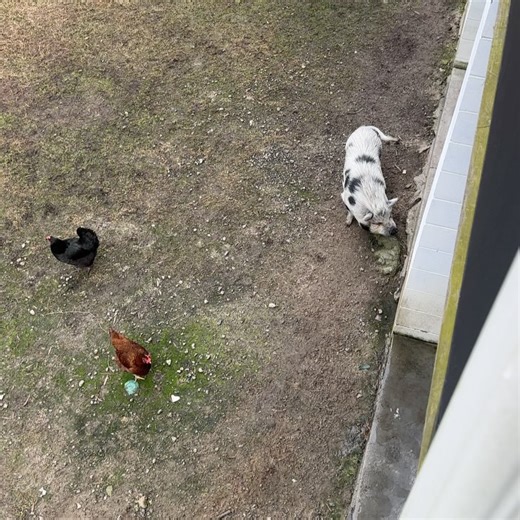 Emily Hayden | Friendship is something that is cultivated & created by mutual effort. We are proof that even if you live on opposite ends of the country,... | Instagram