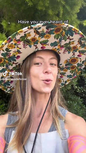 Hand Pollinating Pepper Plants for Better Harvests